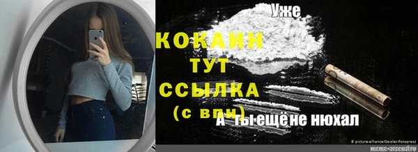 соль ск Вязьма
