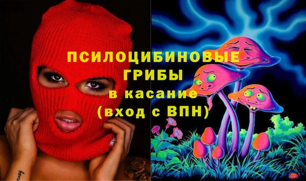 мдпв Армянск