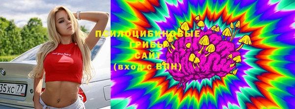 МДПВ Аркадак