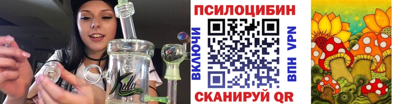Псилоцибиновые грибы мицелий  Петропавловск-Камчатский 