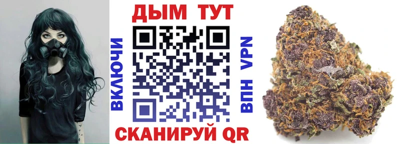 shop Telegram  наркошоп  Петропавловск-Камчатский  Бошки Шишки VHQ  OMG  